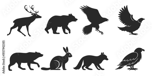 A variety of black and white animal silhouettes against a white background Vector