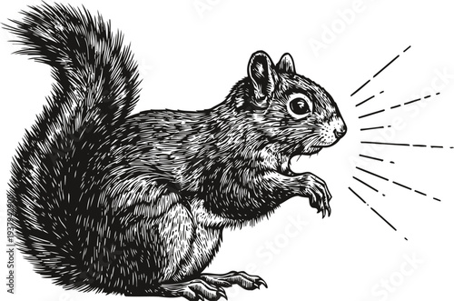 Detailed black and white illustration of a squirrel with textured fur and bushy tail