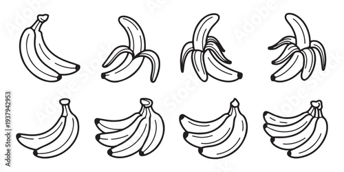 Banana vector illustration set showing different cluster sizes and peeled fruit in hand drawn doodle style