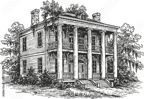 Classic southern mansion with large columns surrounded by trees and lush vegetation