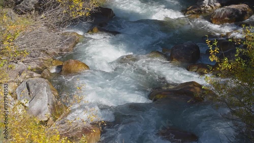 Mountain River Rapids with Boulders and Wildflowers
