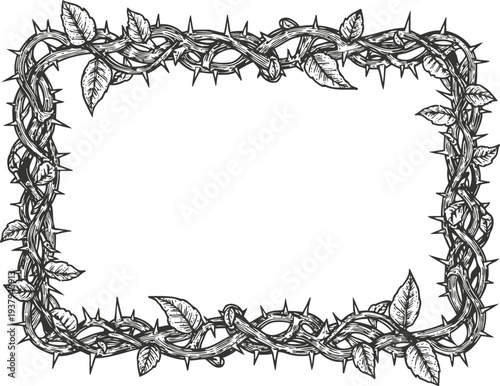 Intricate rectangular thorny vine frame with leaves, hand drawn black and white botanical border