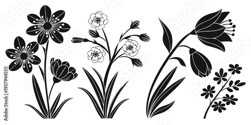 A delicate arrangement of various flowers and leaves in a symmetrical pattern Vector