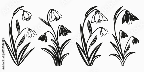 A delicate illustration of white flowers with green stems and leaves Vector