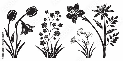 A delightful illustration of various flowers in a charming and artistic style Vector
