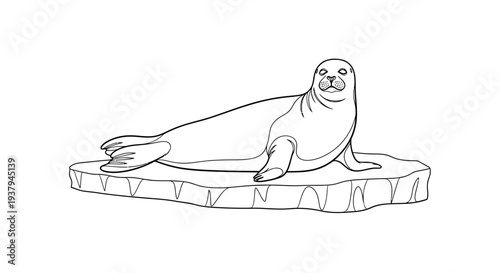 Seal Illustration on Iceberg Simple Line Art.