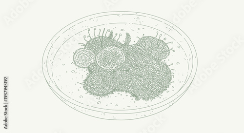 Petri Dish with Microorganism Culture Growth.