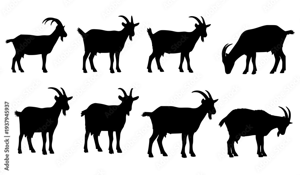 Fototapeta premium Minimalist Goat Silhouette Farm Animal Illustration Set for Agriculture and Rural Design
