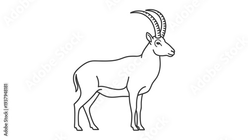 Graceful Alpine Ibex Illustration: An elegant line drawing captures the regal presence of an alpine ibex, showcasing its majestic horns and strong physique.