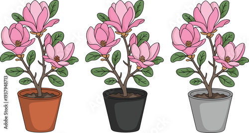 Flowering plant illustration set featuring three potted designs with pink blossoms, green leaves, and varied pot colors, perfect for gardening, decoration, and design projects