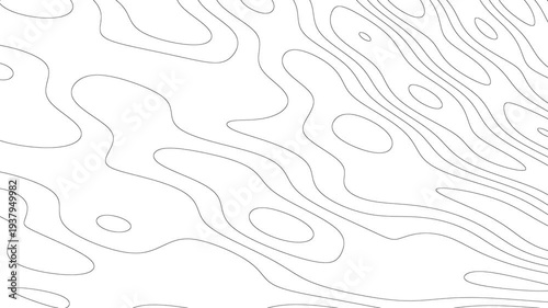 Abstract Topographic Map Lines With Dotted Texture In Black And White