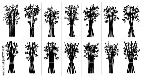 Bundles of freshly cut branches with leaves on white background tied in groups of various sizes and shapes for craft or decoration use