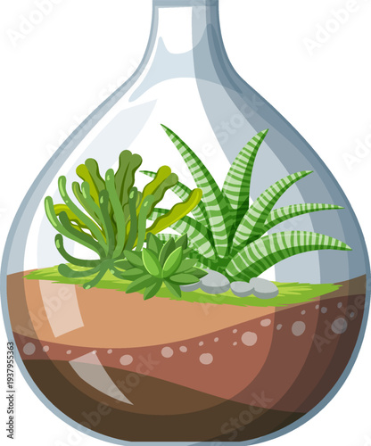 Cute glass terrariums with succulents on white backround