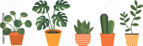 Collection of indoor potted houseplants including monstera cactus and decorative plants for home decor, cad drawing flat vector illustration