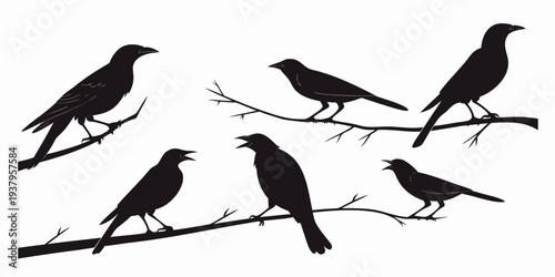 A group of birds perched on a branch in a natural setting Vector
