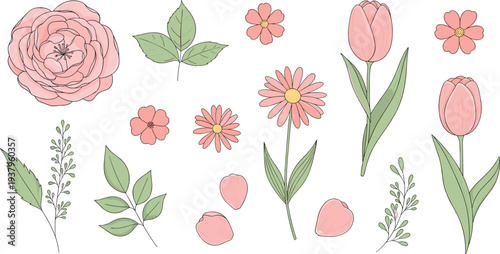 Soft pastel floral elements collection with rose, tulip, daisy and leaves, delicate botanical flowers vector illustration set