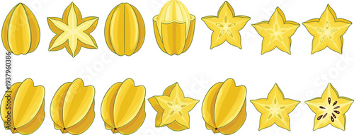 Starfruit carambola whole and sliced pieces collection, tropical exotic fruit illustration isolated fresh healthy food vector set