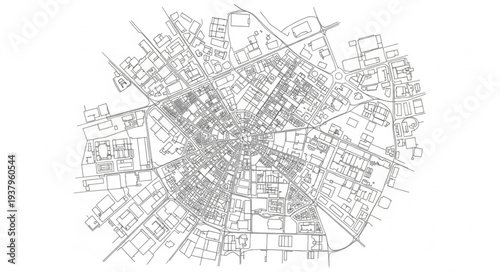 Detailed Black and White City Map.