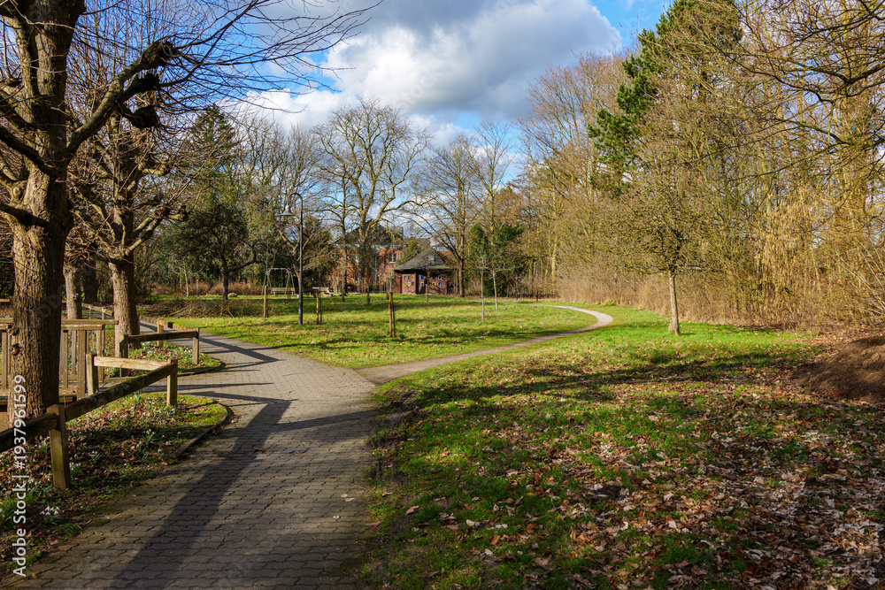 Fototapeta premium path in the park