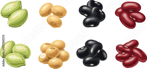 Assorted beans and legumes collection with edamame, soybeans, black beans and kidney beans vector illustration set