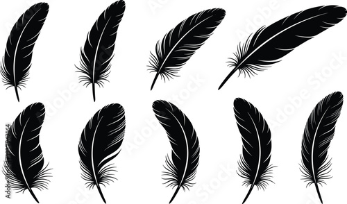 Black feather silhouettes collection with different bird plumage shapes, elegant flying feather set isolated decorative vector illustration