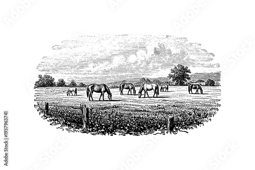 Vintage engraving of horses grazing in pastoral landscape with trees and clouds