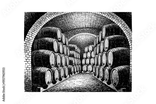 Vintage wine cellar with wooden barrels in detailed ink style