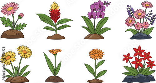 Colorful garden flowers collection with different blooming plants, decorative botanical floral elements for spring garden design vector illustration set isolated