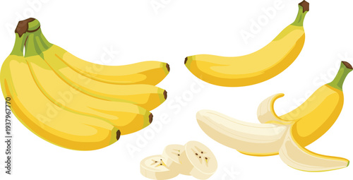 Fresh yellow bananas bunch with peeled banana and slices, tropical fruit healthy food illustration isolated vector set