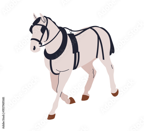 Draft horse wearing harness, bridle and reins. Farm animal, livestock. Steed walking. Strong domestic country equine with halter. Flat vector illustration isolated on white background