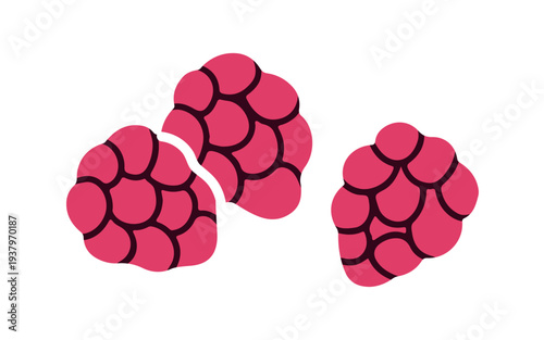 Raspberries, natural organic summer food. Garden berries. Healthy vitamin eating, sweet nutrition. Fresh fruits. Flat graphic vector illustration isolated on white background