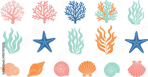 Ocean marine elements collection with coral, seaweed, starfish and seashells, colorful underwater nature vector illustration set