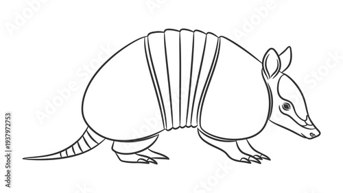 Armadillo Outline: A detailed black and white illustration of an armadillo, showcasing its unique armored shell and distinct features.