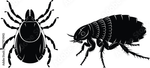 Silhouette illustration of tick and flea parasitic insects, showing distinct body features, educational entomology artwork, health impact awareness, and scientific reference for parasite studies.
