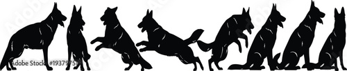 Silhouette sequence of German Shepherd dog in motion, standing, sitting, and jumping, symbolizing canine behavior, training, playfulness, agility, loyalty, and animal movement illustration.