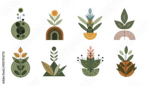 Modern Abstract Botanical Plants with Geometric Shapes Minimal Vector Illustration Pack