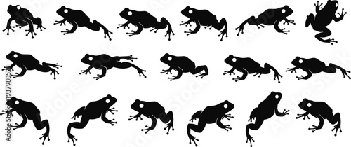 Collection of Black Frog Silhouette Vector Icons Featuring Various Amphibian Poses and Jumping Movements for Nature Wildlife Design Projects and Tropical Forest Concept Illustrations