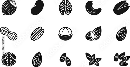 Collection of nuts silhouettes set including walnut almond peanut and hazelnut icons for healthy food snack and nutrition logo design isolated vector illustrations