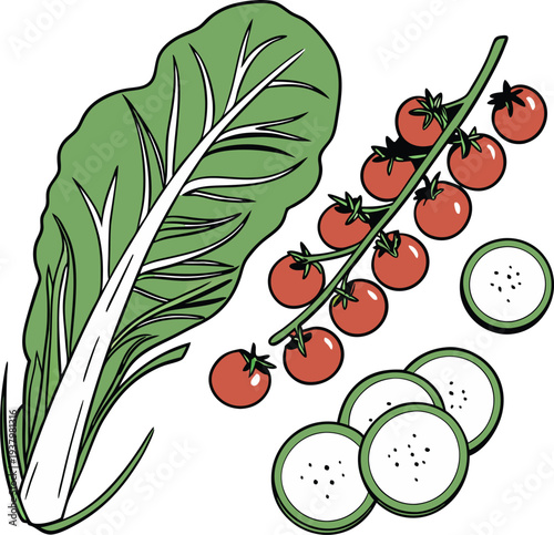 food banner green - healthy & colourful - vector illustration
