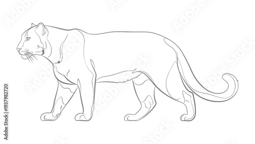 Jaguar Line Art: The artwork presents a graceful jaguar in side view, emphasizing the elegance and power of the animal with clean, precise lines.