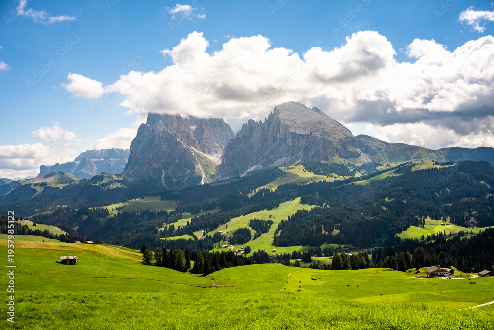 Fototapeta premium Alps of Siusi. View of the Alpe di Siusi in Val Gardena, Ortisei, South Tyrol. Italy