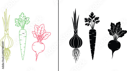 Vector illustration set of onion carrot and beetroot shown in both colorful outlines and solid black silhouettes isolated on white background for healthy food design.