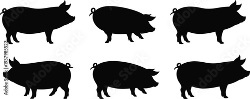 Pig Silhouettes Farm Animal Vector Graphics illustration