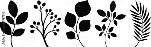 Botanical plant silhouettes with leaves and branches, vector foliage collection for design, nature illustration, decorative elements, floral outline artwork