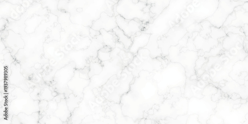White marble texture with grey veins