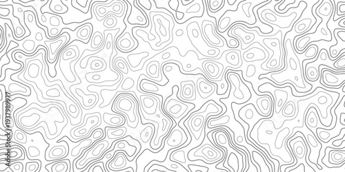 Black and white contour lines abstract background