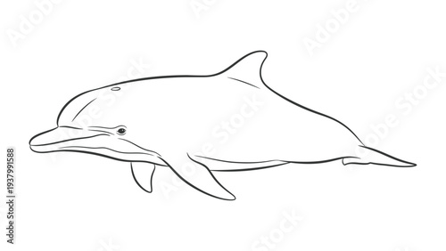 Dolphin Sketch: A sleek, graceful dolphin swims effortlessly in the tranquil water, captured in a minimalist sketch that emphasizes its streamlined form and playful spirit.