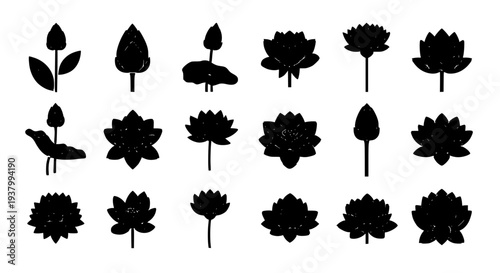 Lotus flowers set with black silhouettes and grunge texture featuring water, lily, pond with serene and peaceful