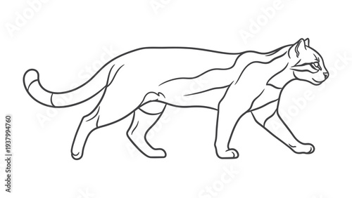 Cat Contour Art: A sleek outline of a cat, rendered in elegant lines, highlighting its graceful form and poised demeanor. 