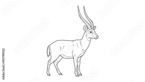 Elegant Gazelle Illustration: This illustration captures the graceful silhouette of a gazelle, highlighting its slender form and magnificent horns.
